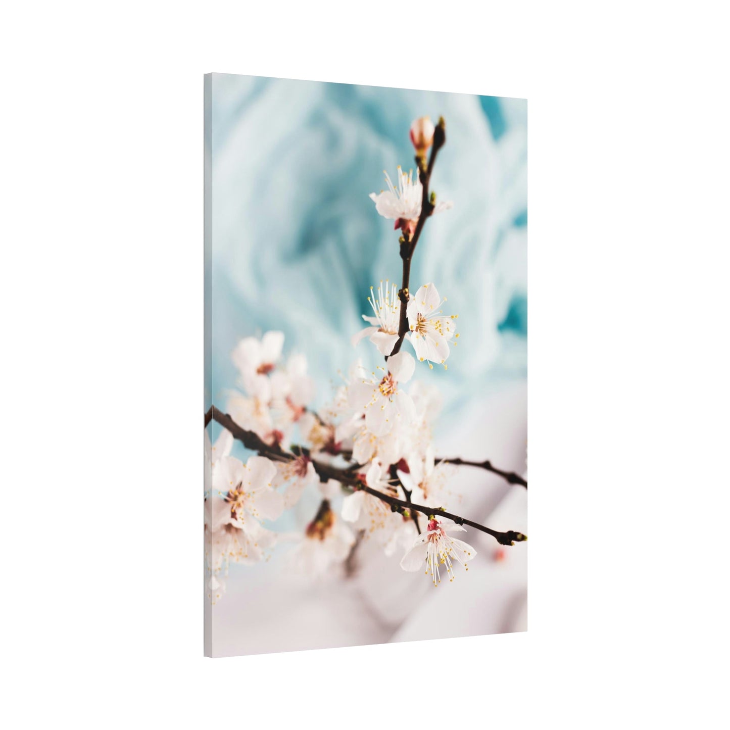 Fragile Elegance: Cherry Blossoms on Artistic Print