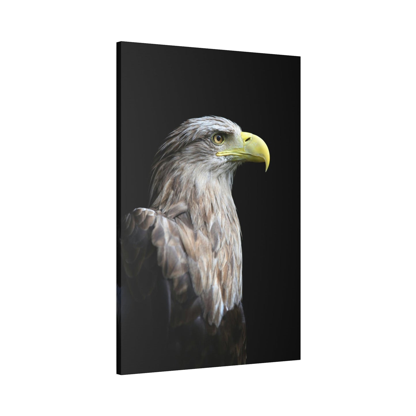 Eagle's Resilience: Inspiring Canvas Print, Showcasing their Indomitable Spirit