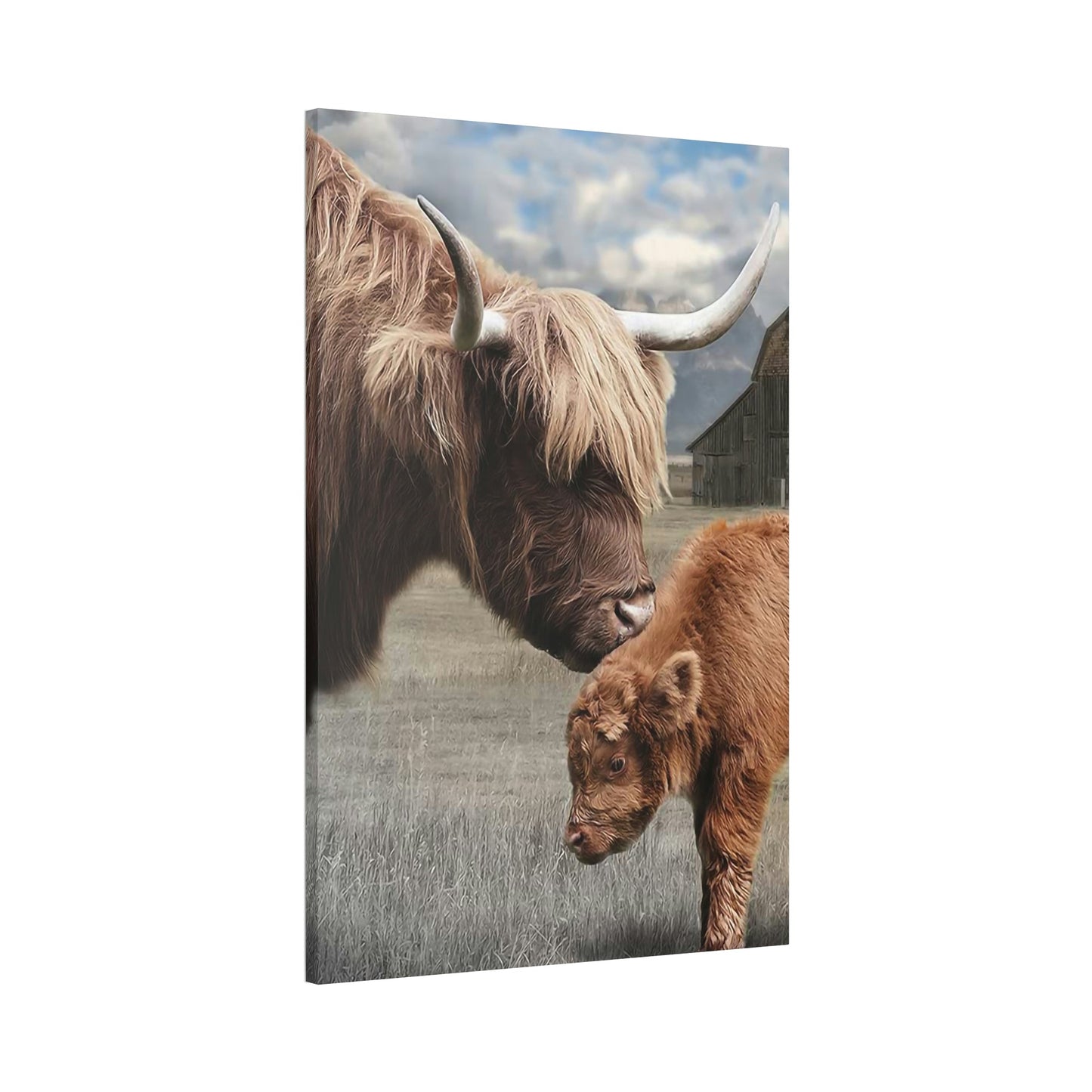 Highland Cow | Shaggy Cows Art — Pixoram