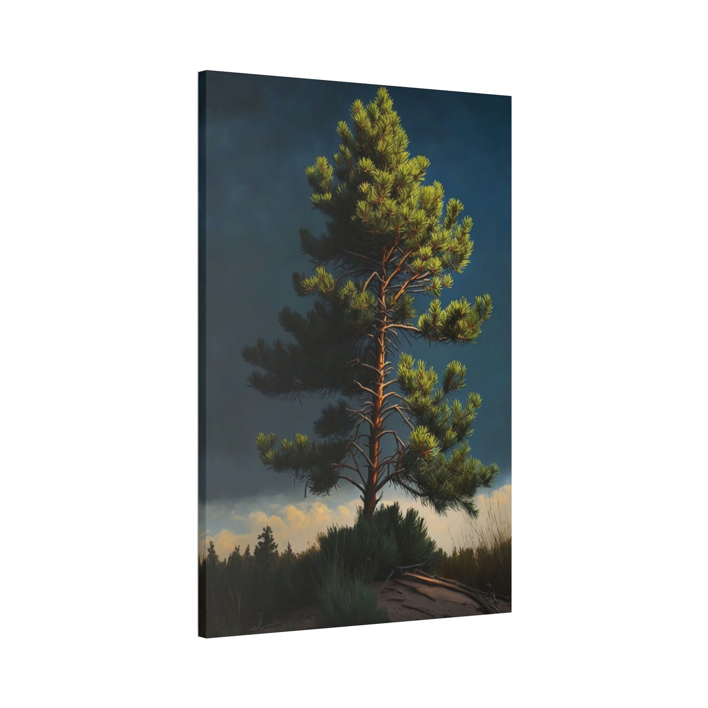 Pine Tree Sanctuary: A Canvas of Peace and Solitude