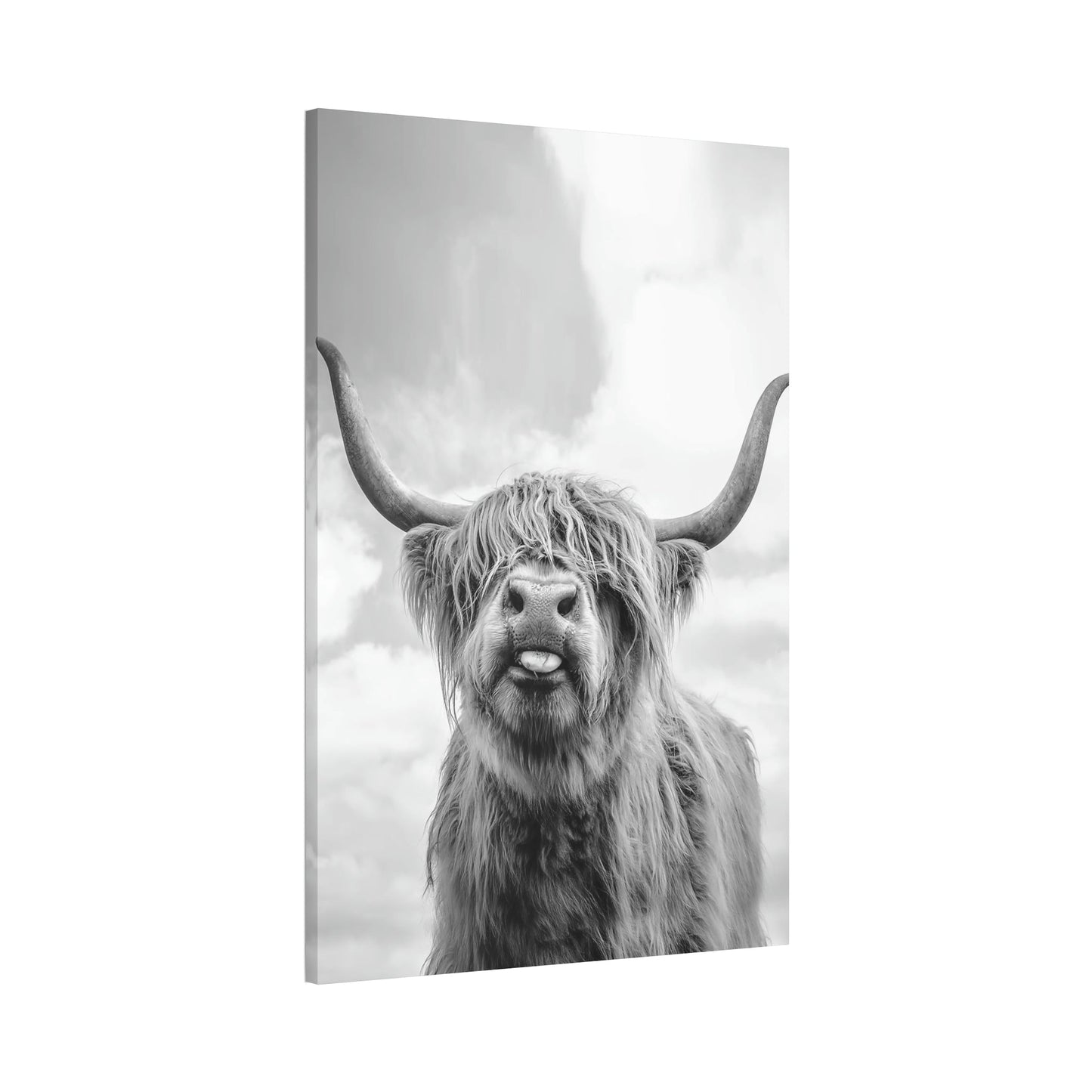 Highland Cow | Wooly Cattle | Black-White Art — Pixoram