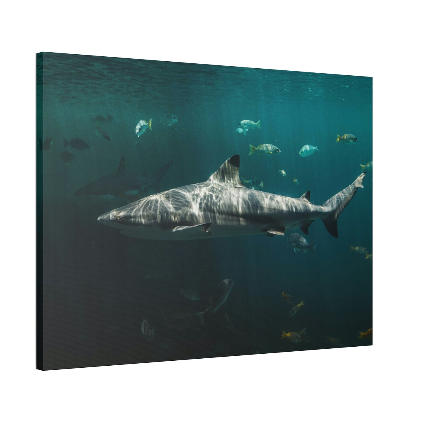 Silent Predators: Sharks' Haunting Canvas