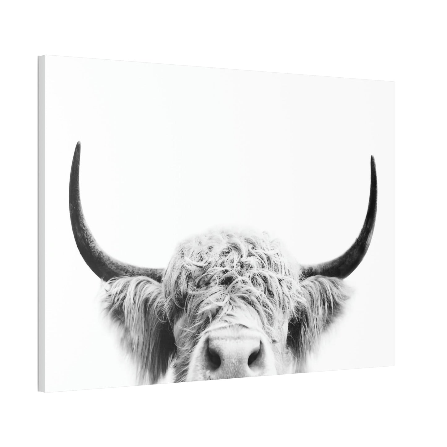 Highland Cow | Close-up of a Horned Cow | Wall Art — Pixoram