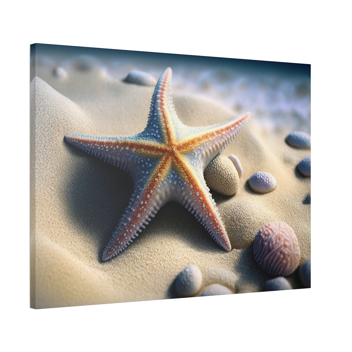 Starfish Tales: A Story of Sea Life and Wonder