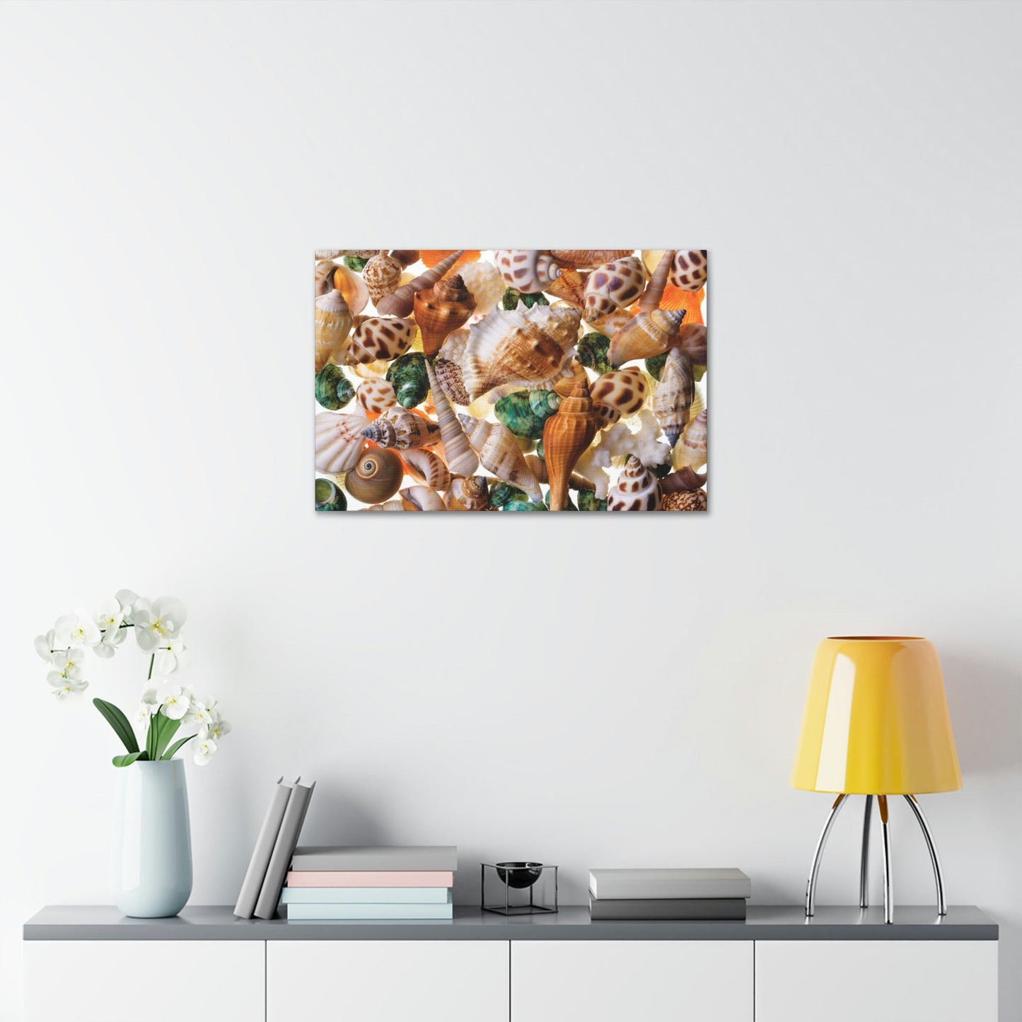 Coastal Treasures: Natural Canvas and Framed Wall Art with Beautiful Seashell Collection