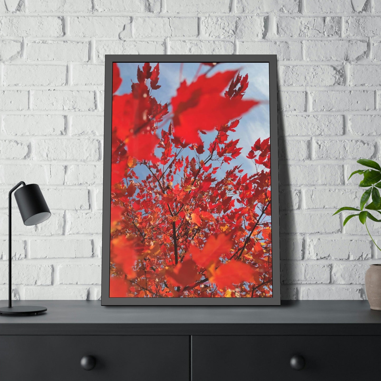Autumn's Glow: Maple Trees in Bloom