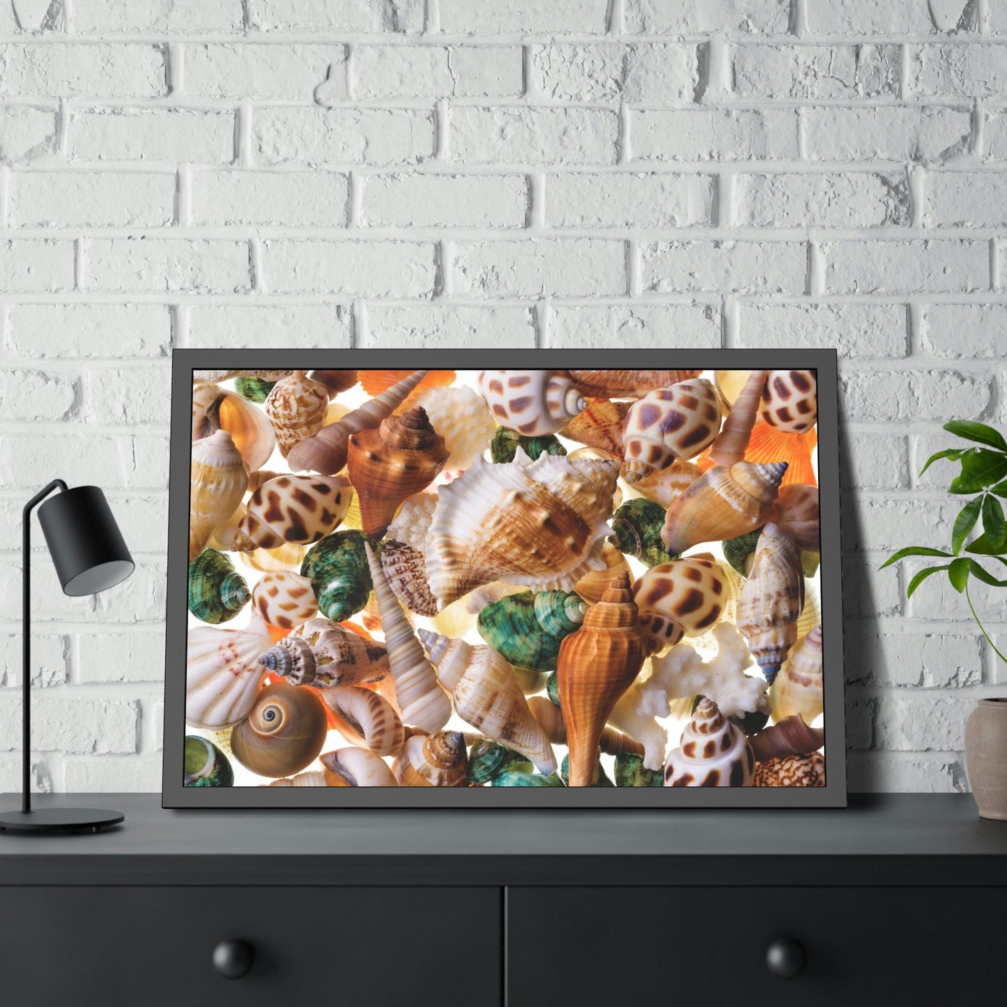 Coastal Treasures: Natural Canvas and Framed Wall Art with Beautiful Seashell Collection