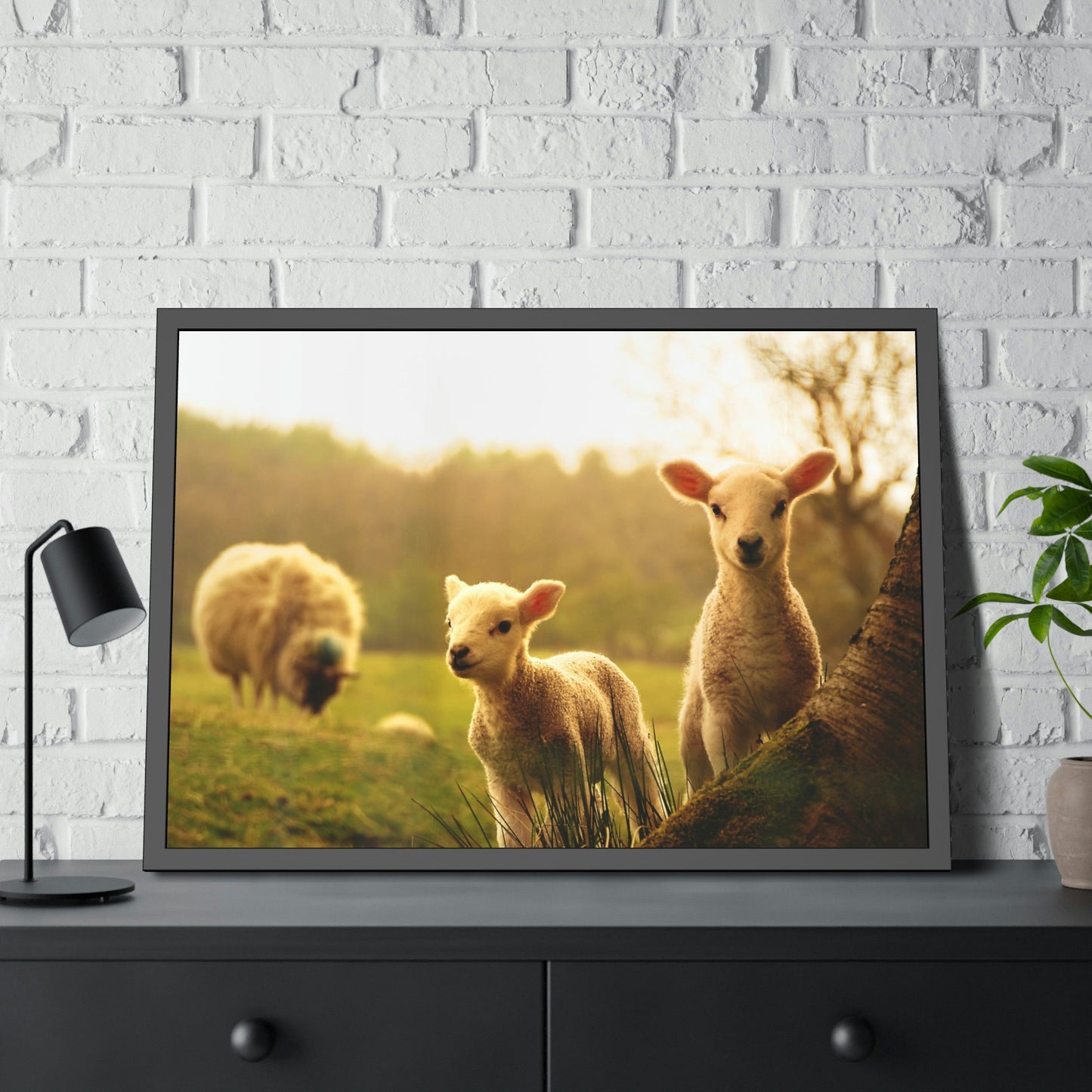Rustic Charm: Framed Poster & Canvas of Sheep Grazing