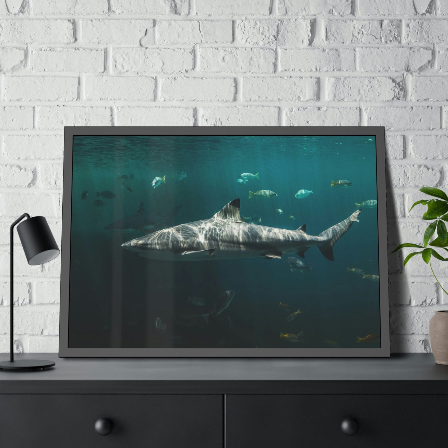 Silent Predators: Sharks' Haunting Canvas