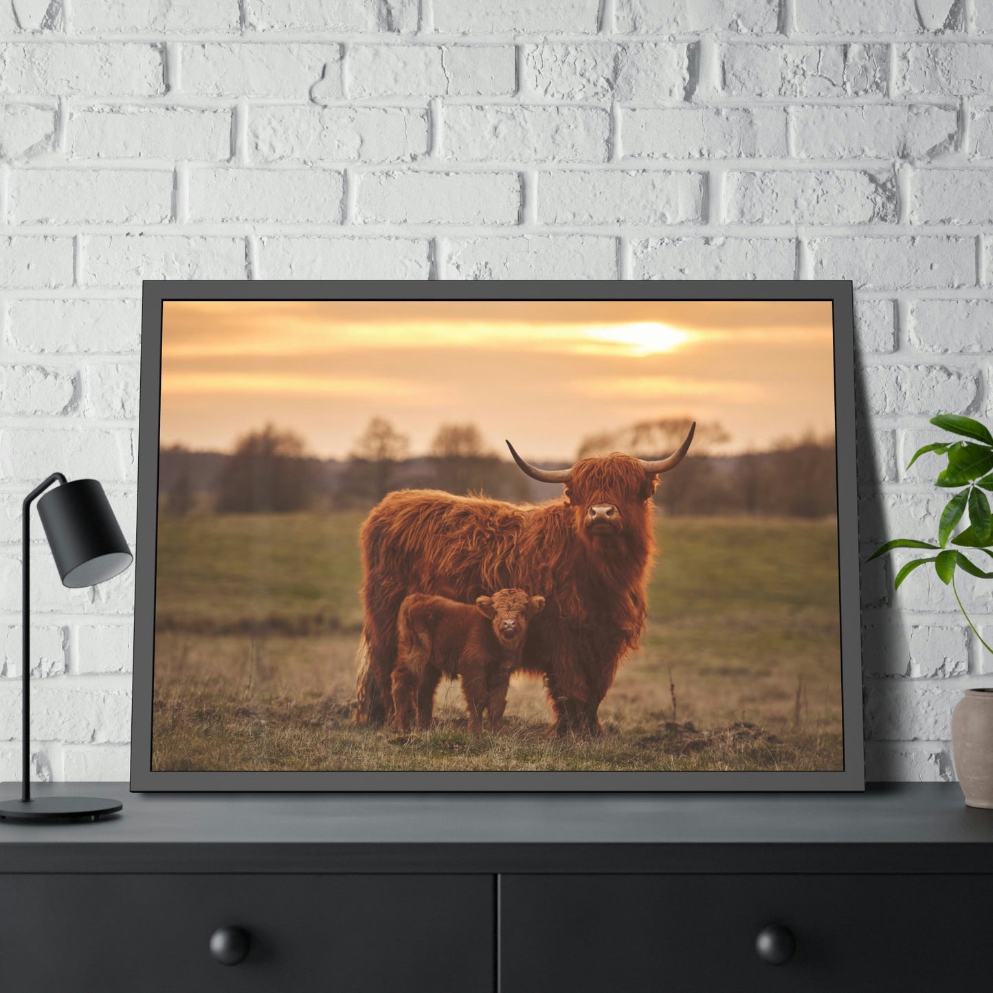 Highland Cow - Animal Art - Pixoram