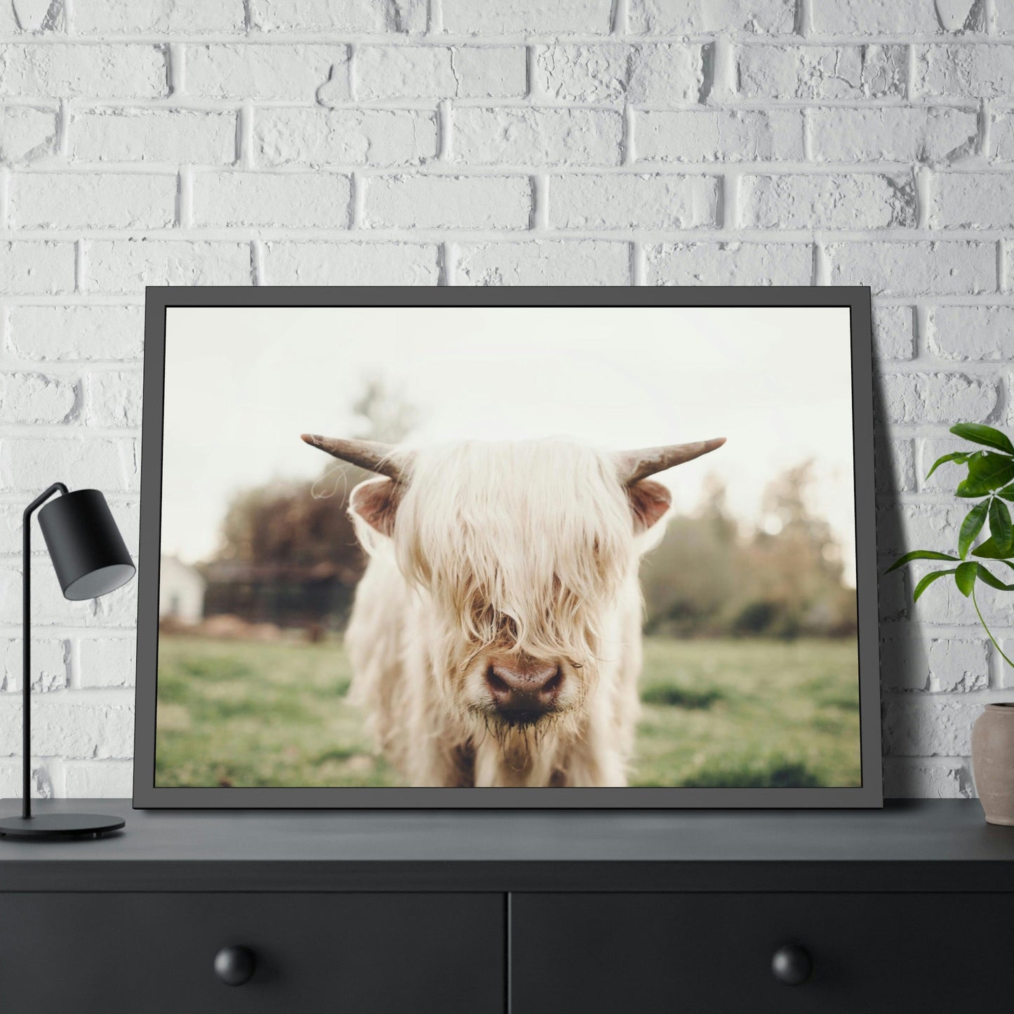 Highland Cow | Milky Color of Cow | Art Canvas — Pixoram