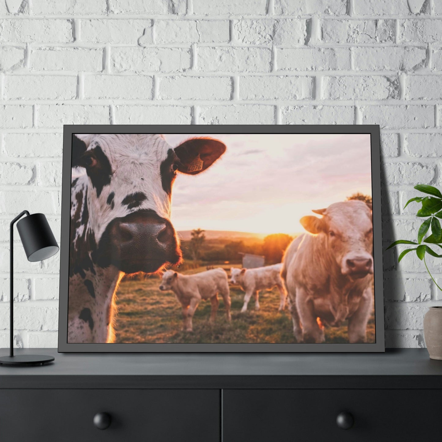 The Grazing Herd: Natural Canvas Print of Cows in the Field