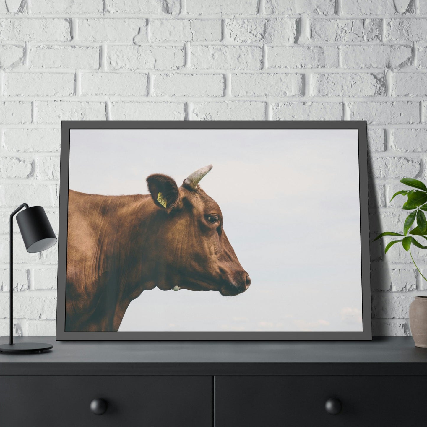 Scotch Highland Cattle - Wall Art | Animals Art