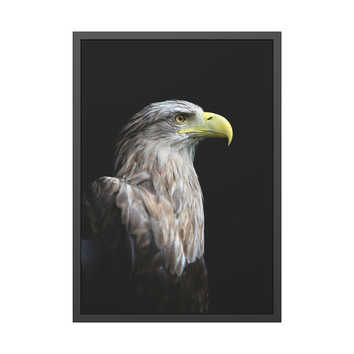 Eagle's Resilience: Inspiring Canvas Print, Showcasing their Indomitable Spirit