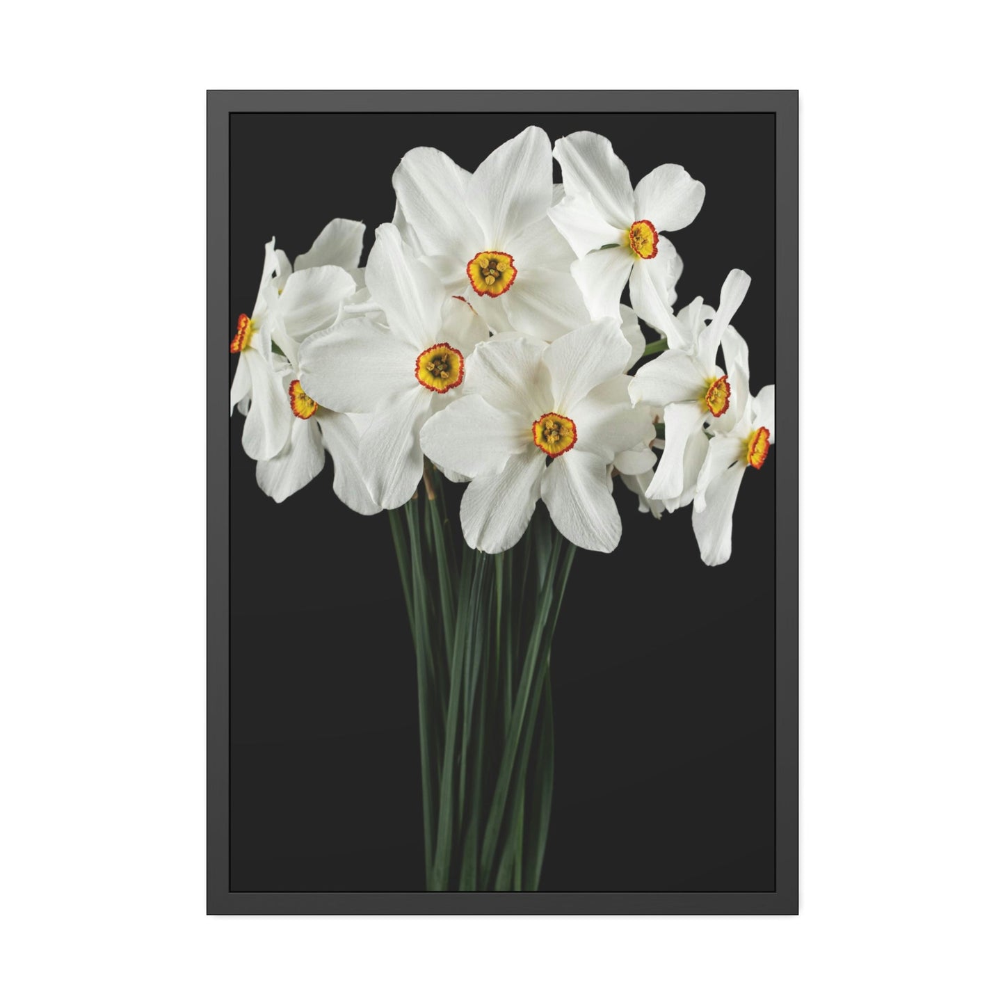 Daffodil Euphoria: A Blissful Awakening