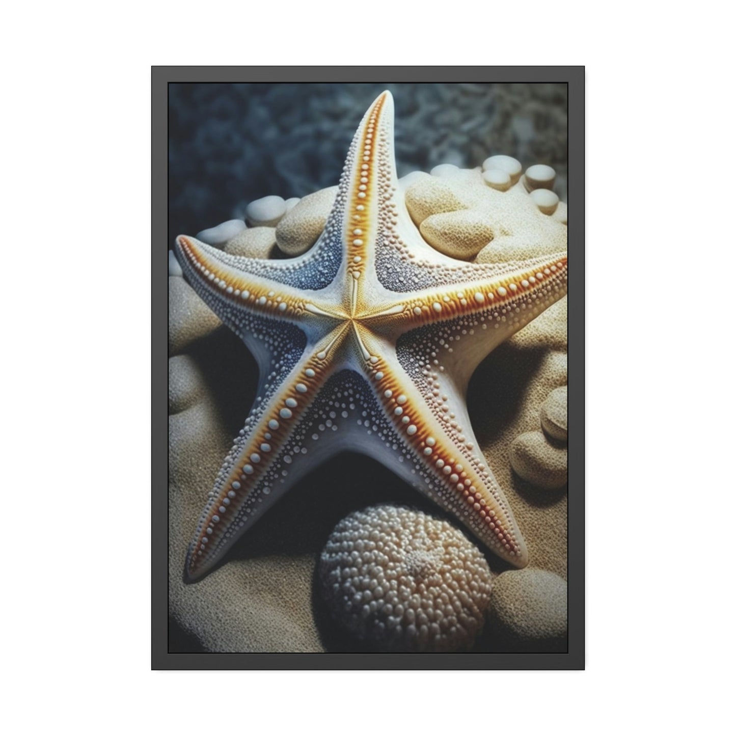 Starfish Dreams: A Voyage to the Depths of Imagination