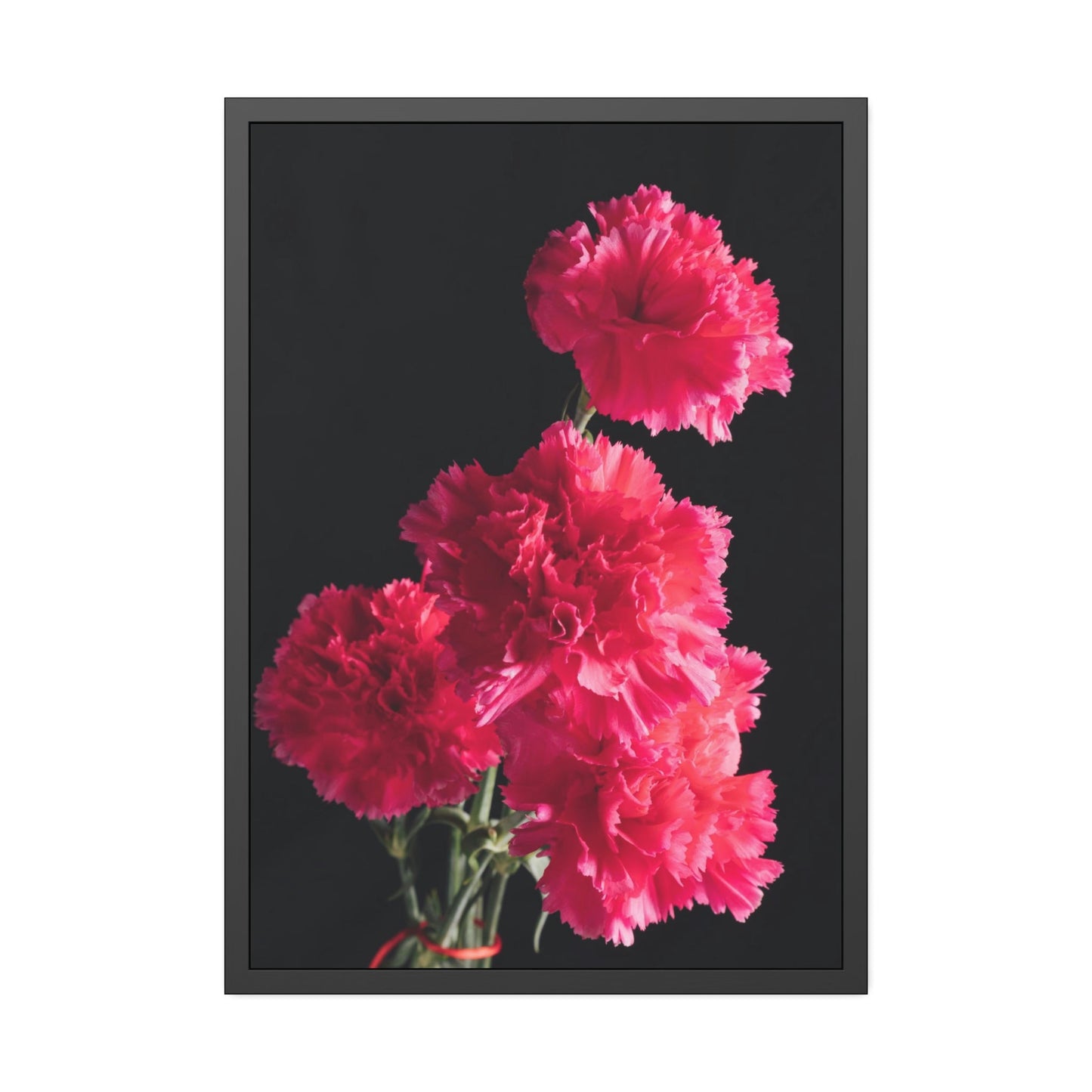 Blooming Beauty: Natural Canvas and Art Prints of Carnations for Your Home