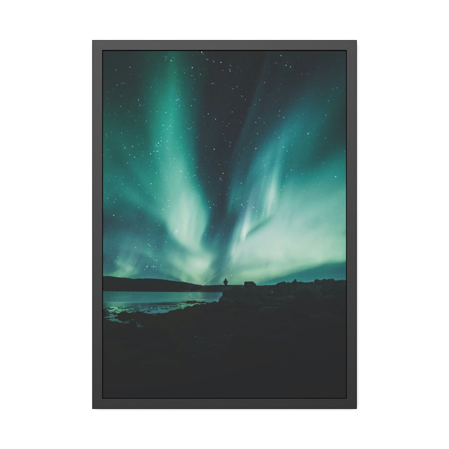 The Aurora Borealis Wonder: A Captivating Vision of the Sky