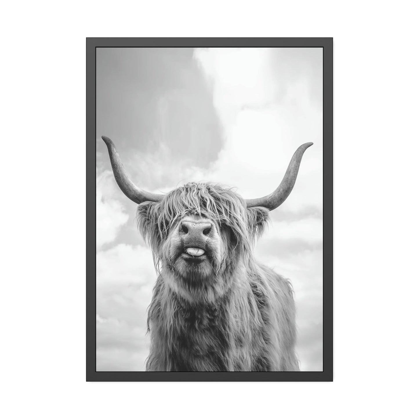 Highland Cow | Wooly Cattle | Black-White Art — Pixoram