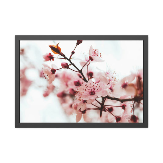 Blossoming Beauty: Almond Blossoms on Natural Canvas & Poster
