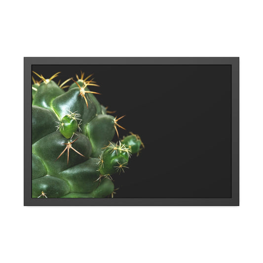 Succulent Splendor: Natural Canvas Cactus Print for a Modern Look
