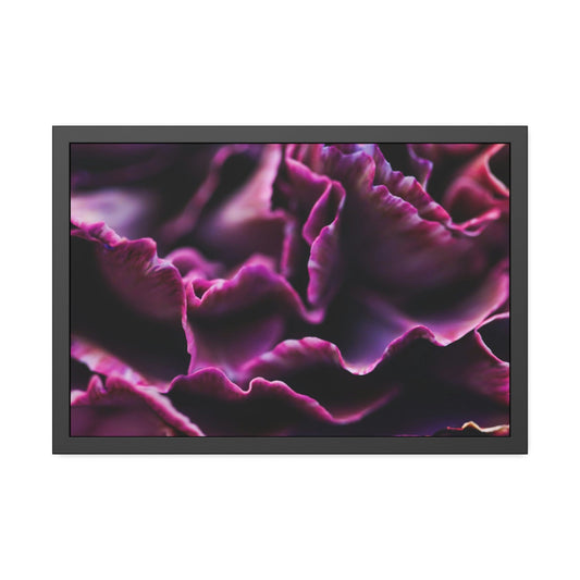 Colorful Petals: Framed Canvas and Wall Art of Carnations for Your Walls