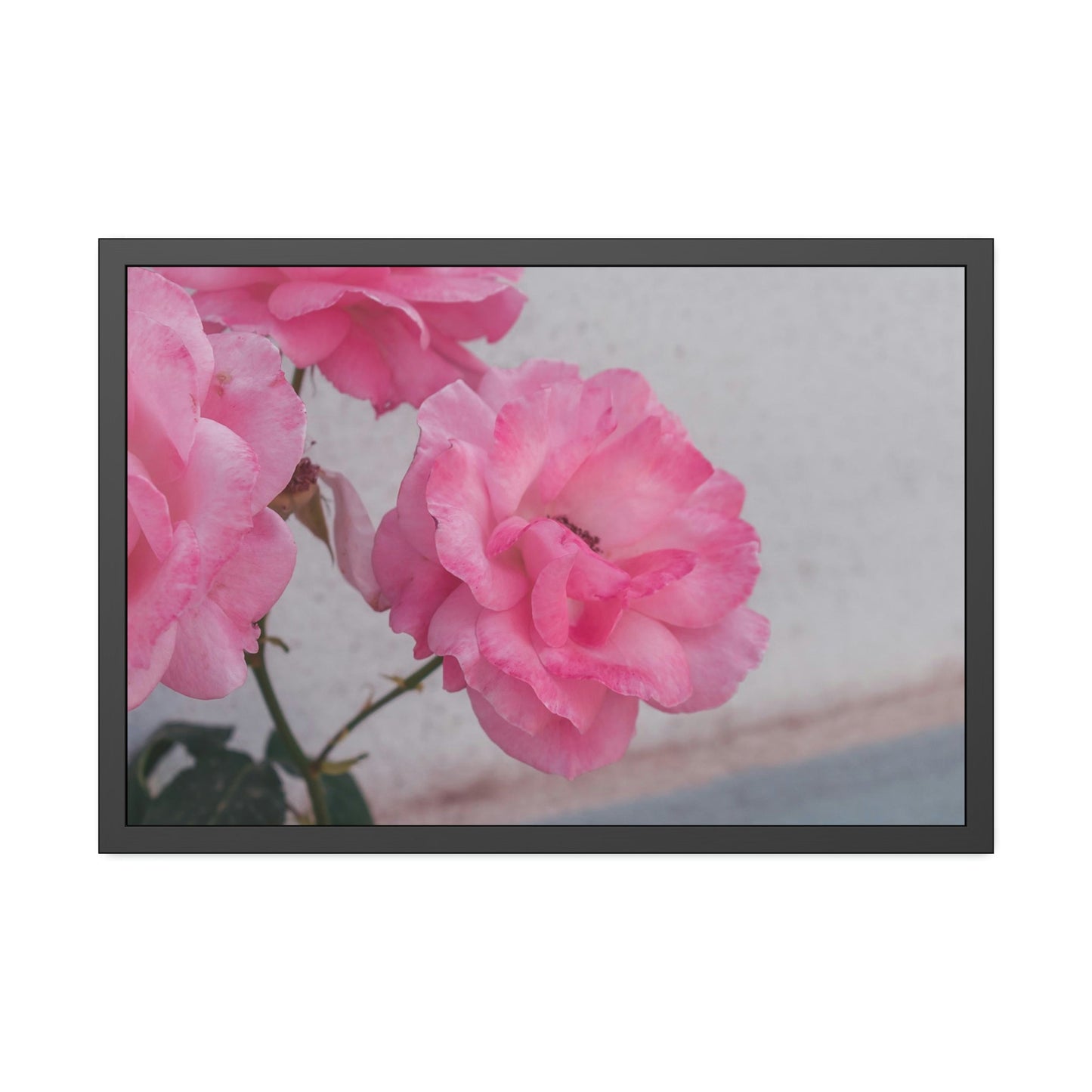 Floral Dreams: Canvas Print of Flowers for Bedroom Decor