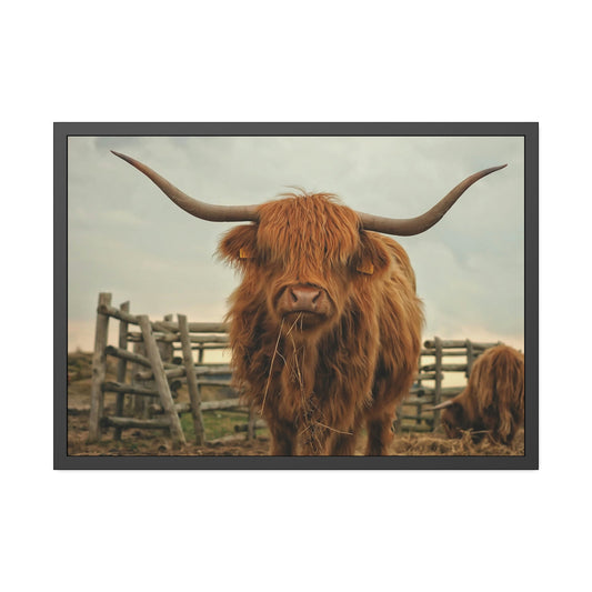 Highland Cow | Brown Horned Cow | Wall Art — Pixoram