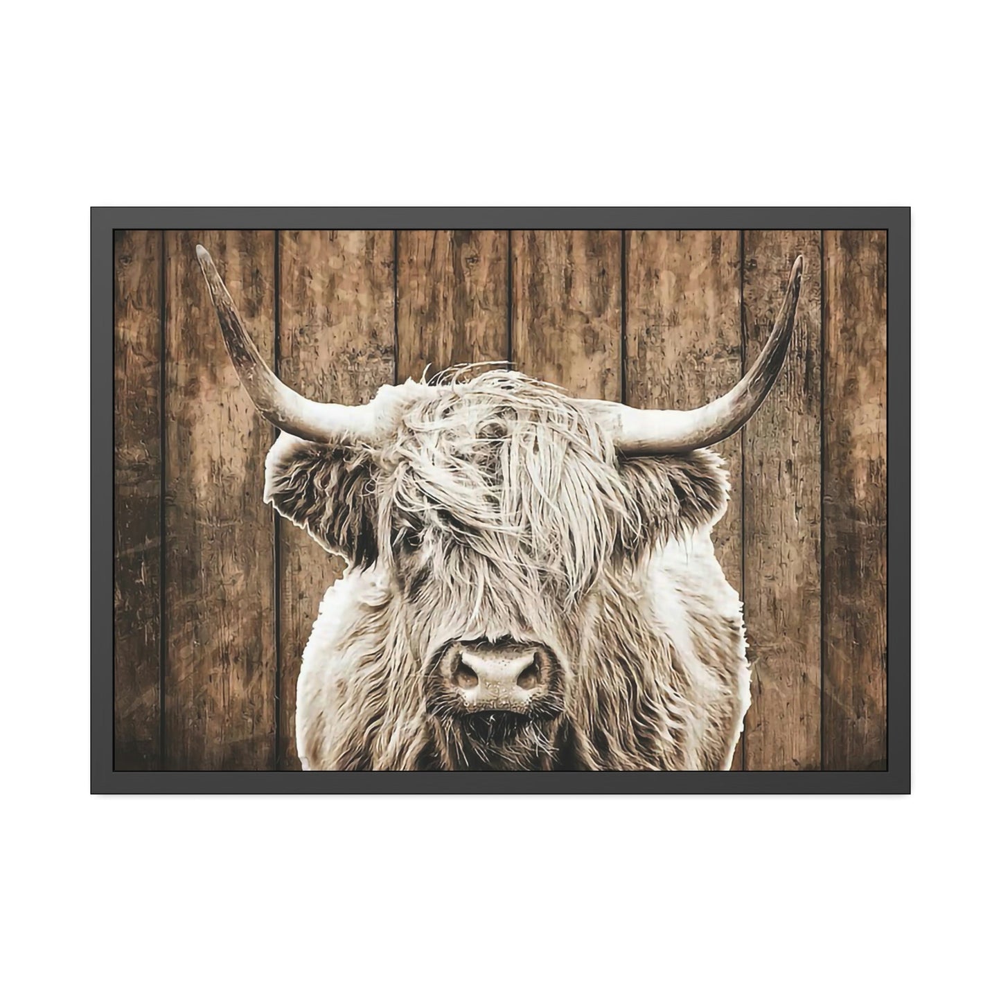 Highland Cow | Wild White Highland Cow | Canvas art — Pixoram
