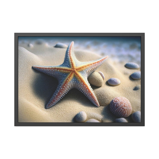 Starfish Tales: A Story of Sea Life and Wonder