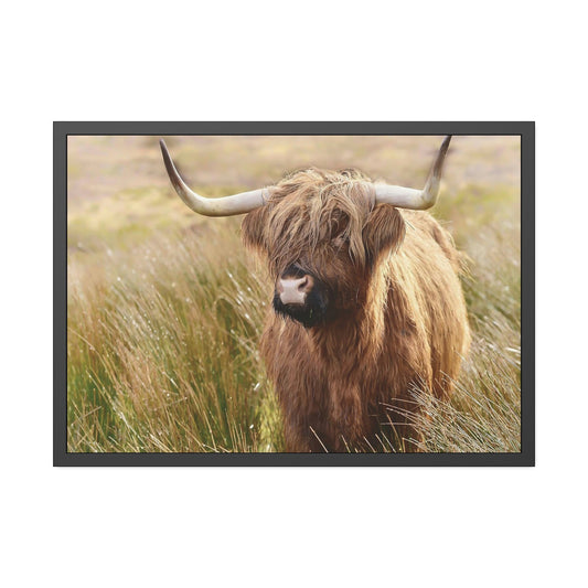 Highland Cow | Cow in the Morning Dew | Wall Art — Pixoram