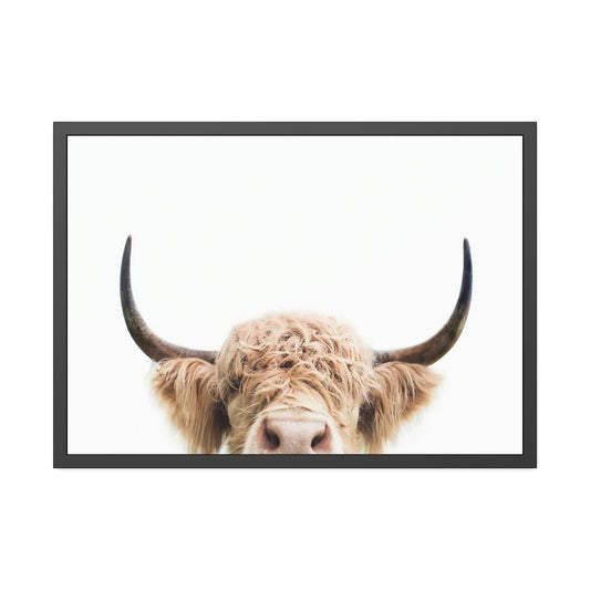 Highland Cow | Wooly Cow on Canvas | Wall Art — Pixoram