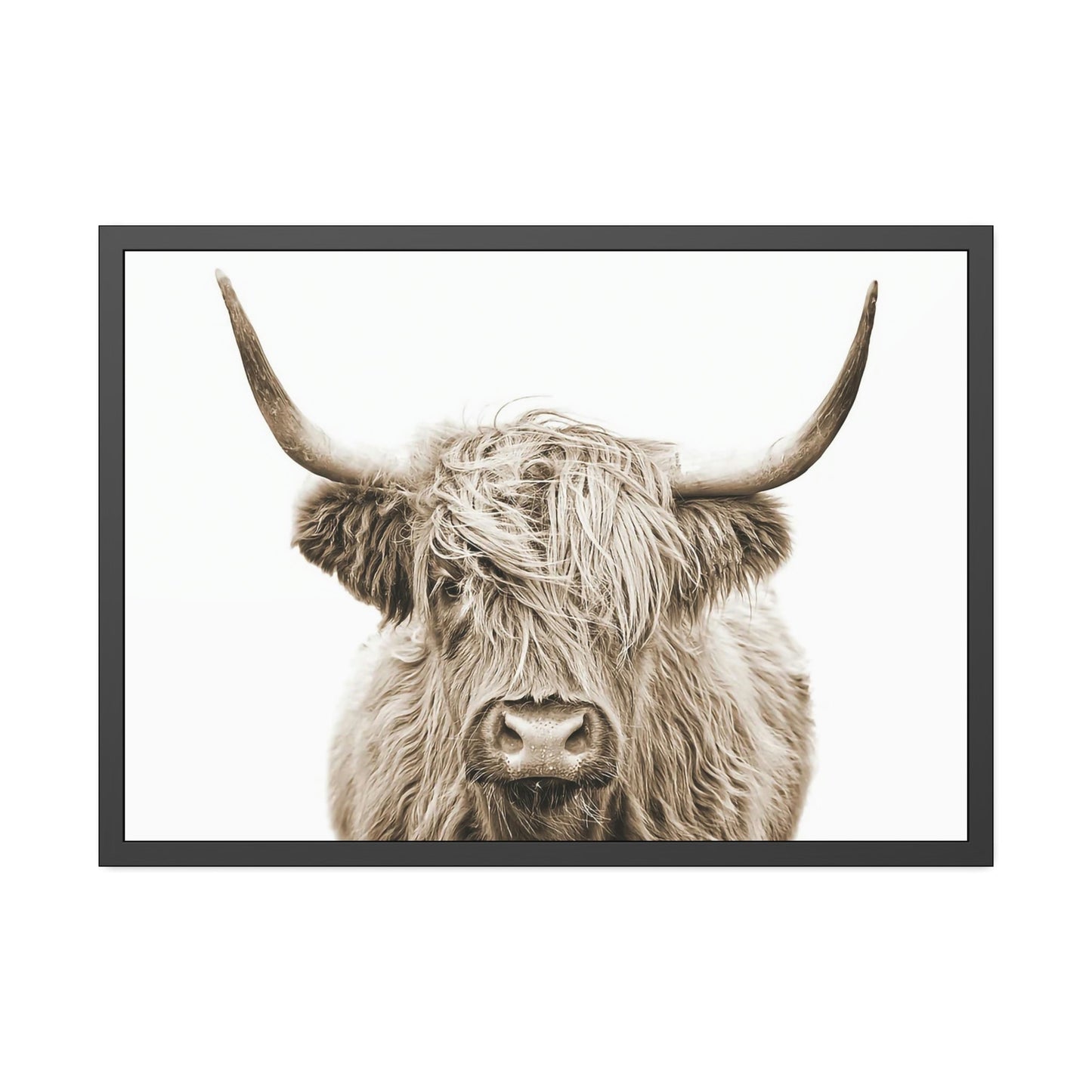 The Beauty of Highland Cows: Wall Art on Natural Canvas