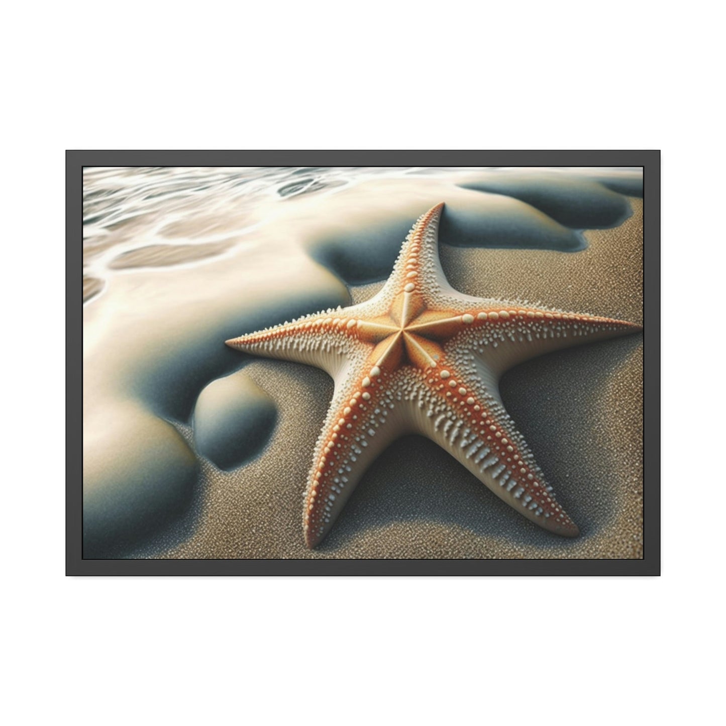 Coral Kingdom: Starfish Edition