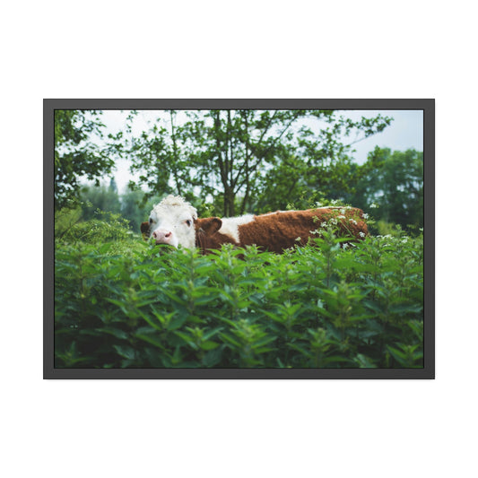 The Art of Cow: Captivating Wall Art on Natural Canvas & Poster