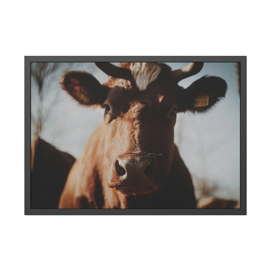 Cow Dreams: Poster & Canvas Print and Wall Art of Whimsical Cow