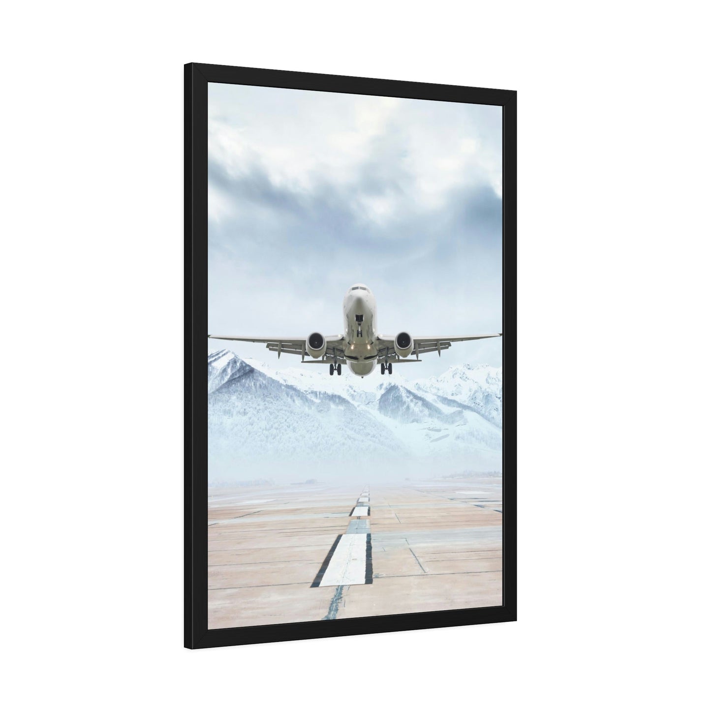 Flight of Wonder: Framed Poster & Canvas of the World's Most Fascinating Airplane