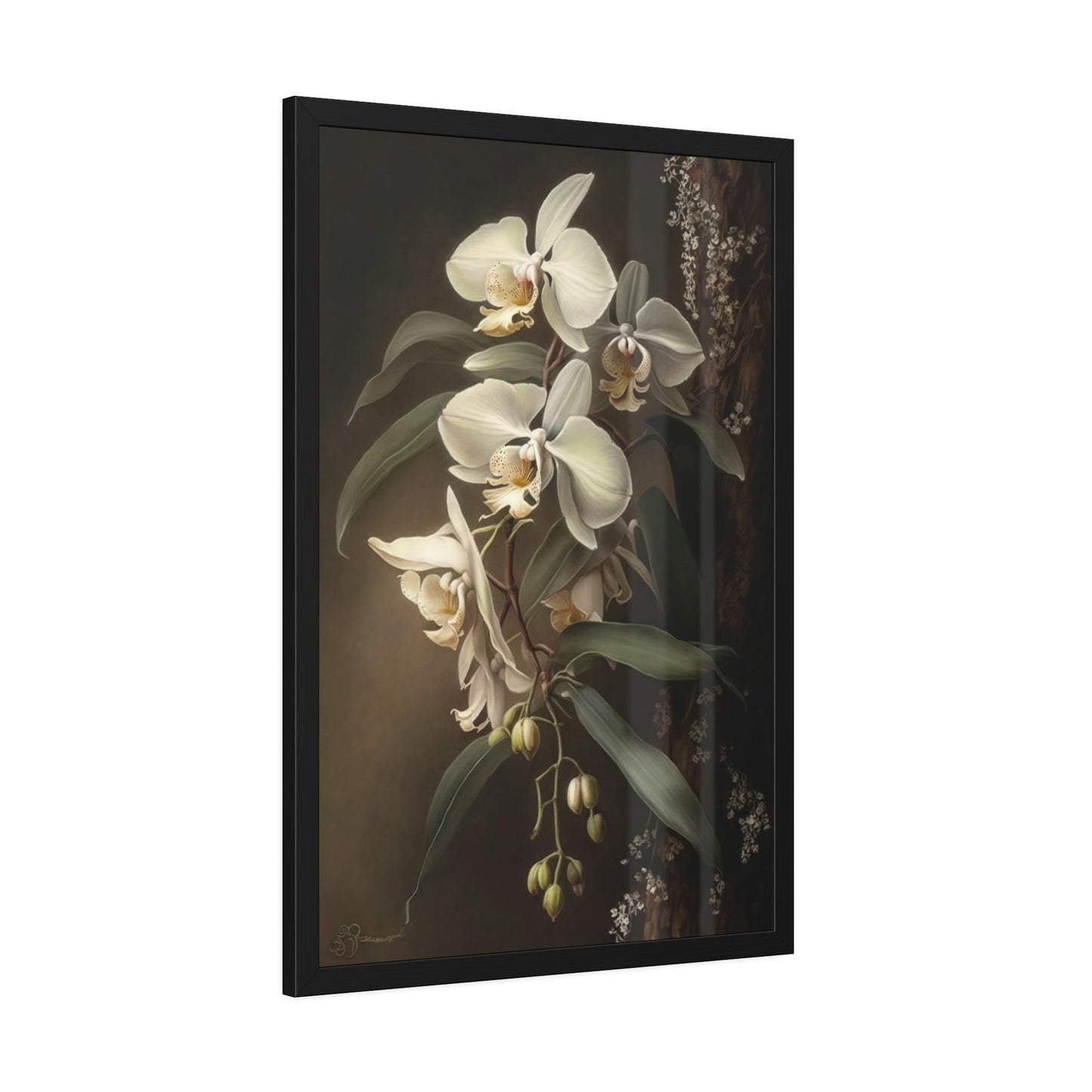 Orchid Bliss: Tranquility on Canvas