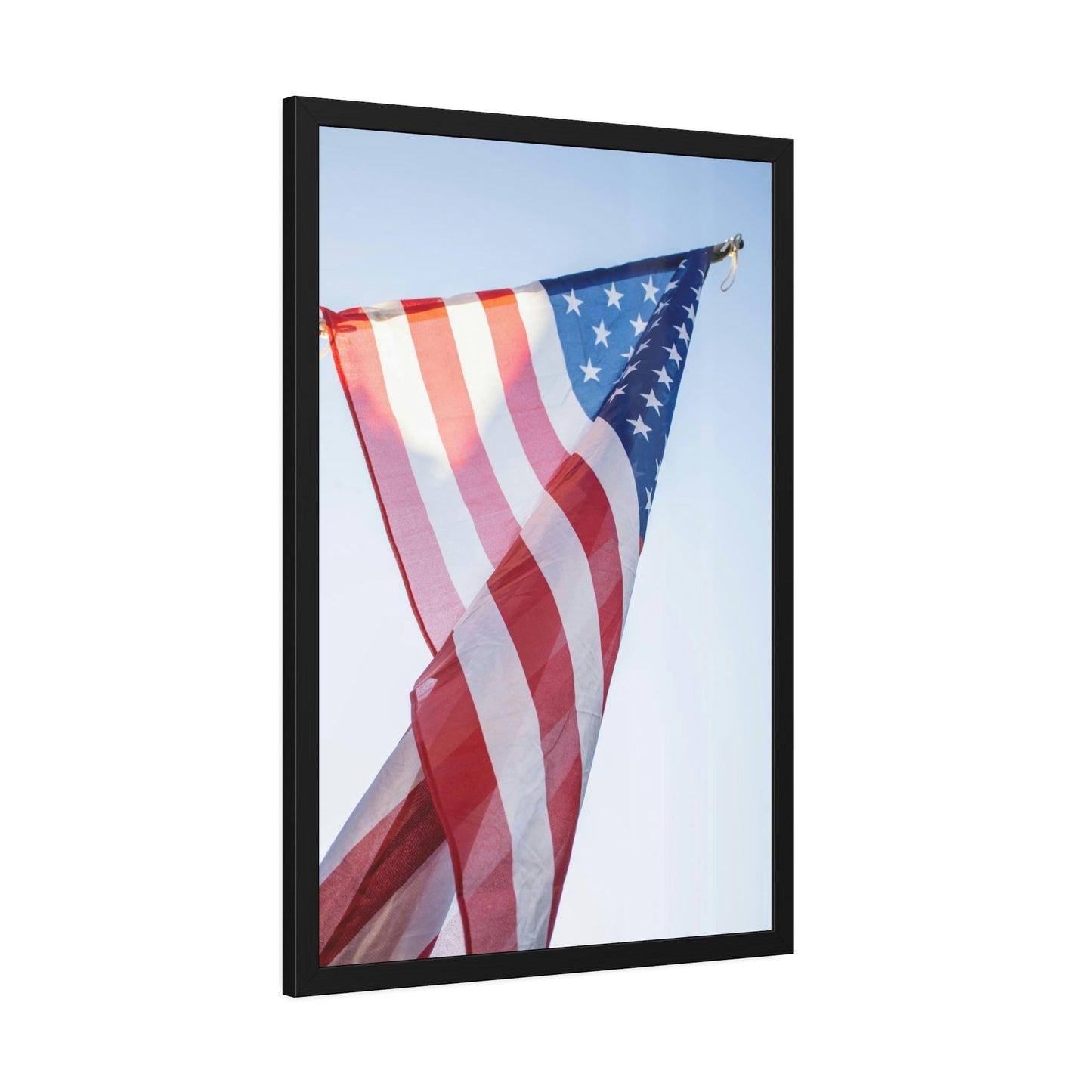 United States of America: Framed Canvas & Poster Art with the Flag
