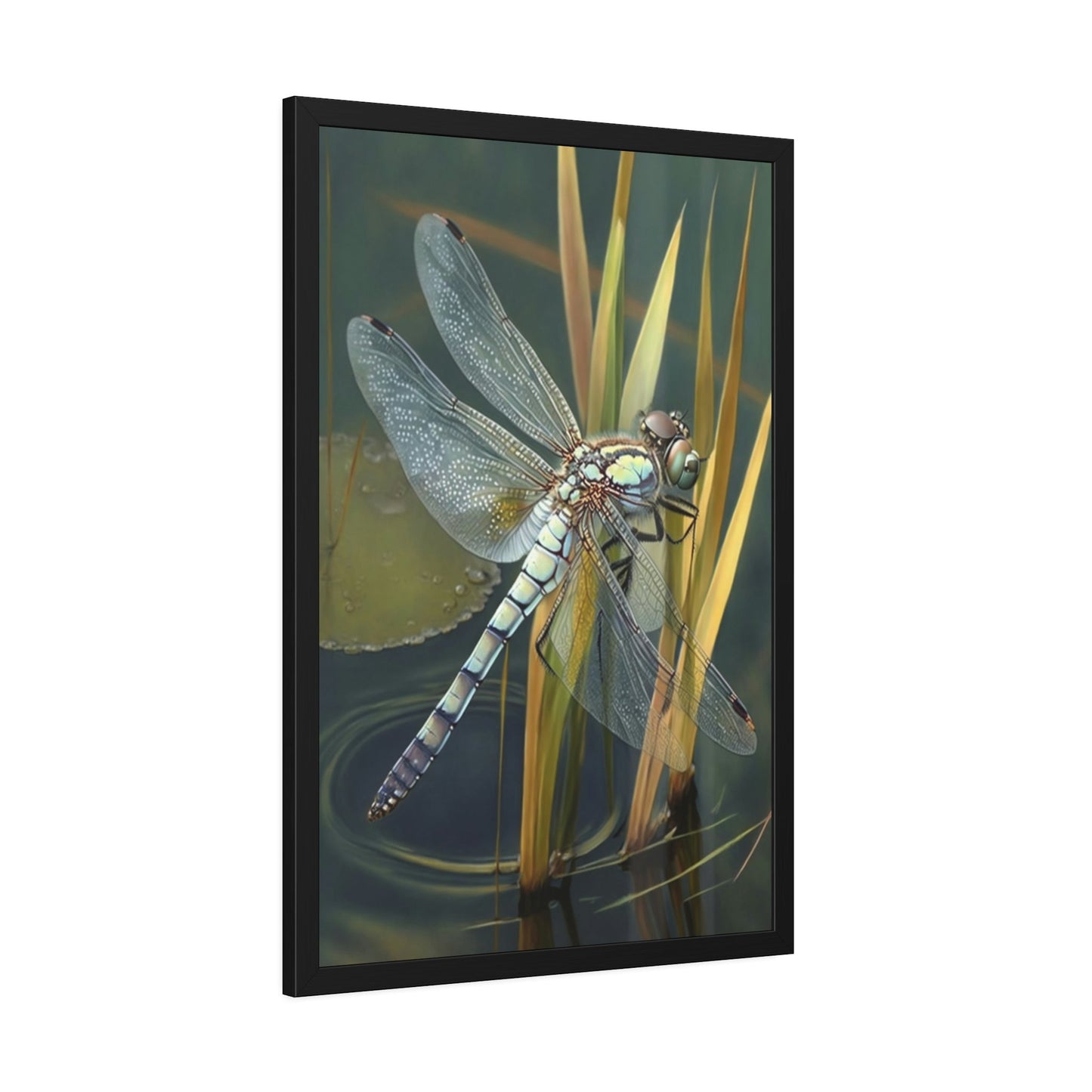 Dragonfly's World: A Framed Poster of These Lovely Insects