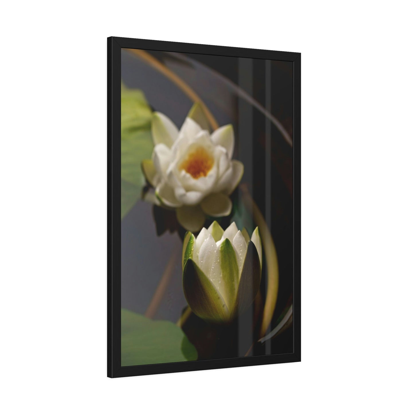 Lotus Garden: Elegant Framed Poster and Print on Canvas