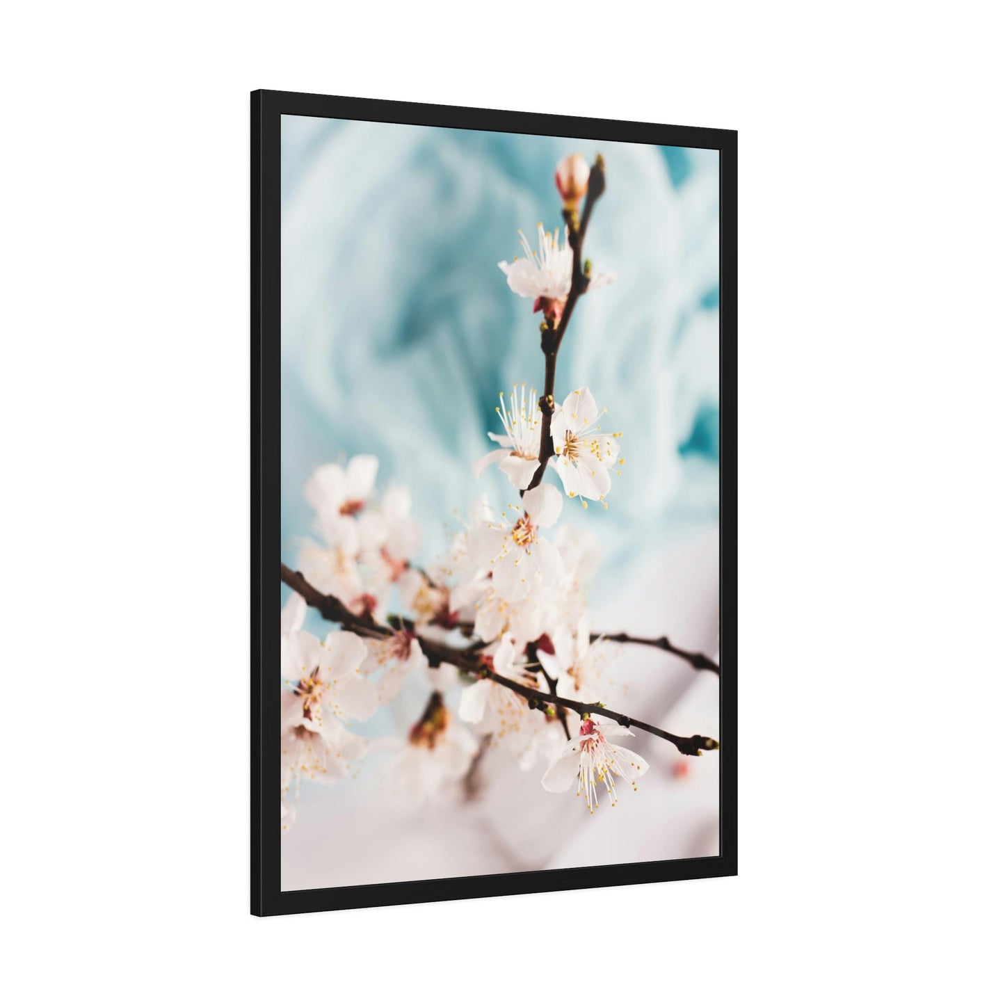 Fragile Elegance: Cherry Blossoms on Artistic Print