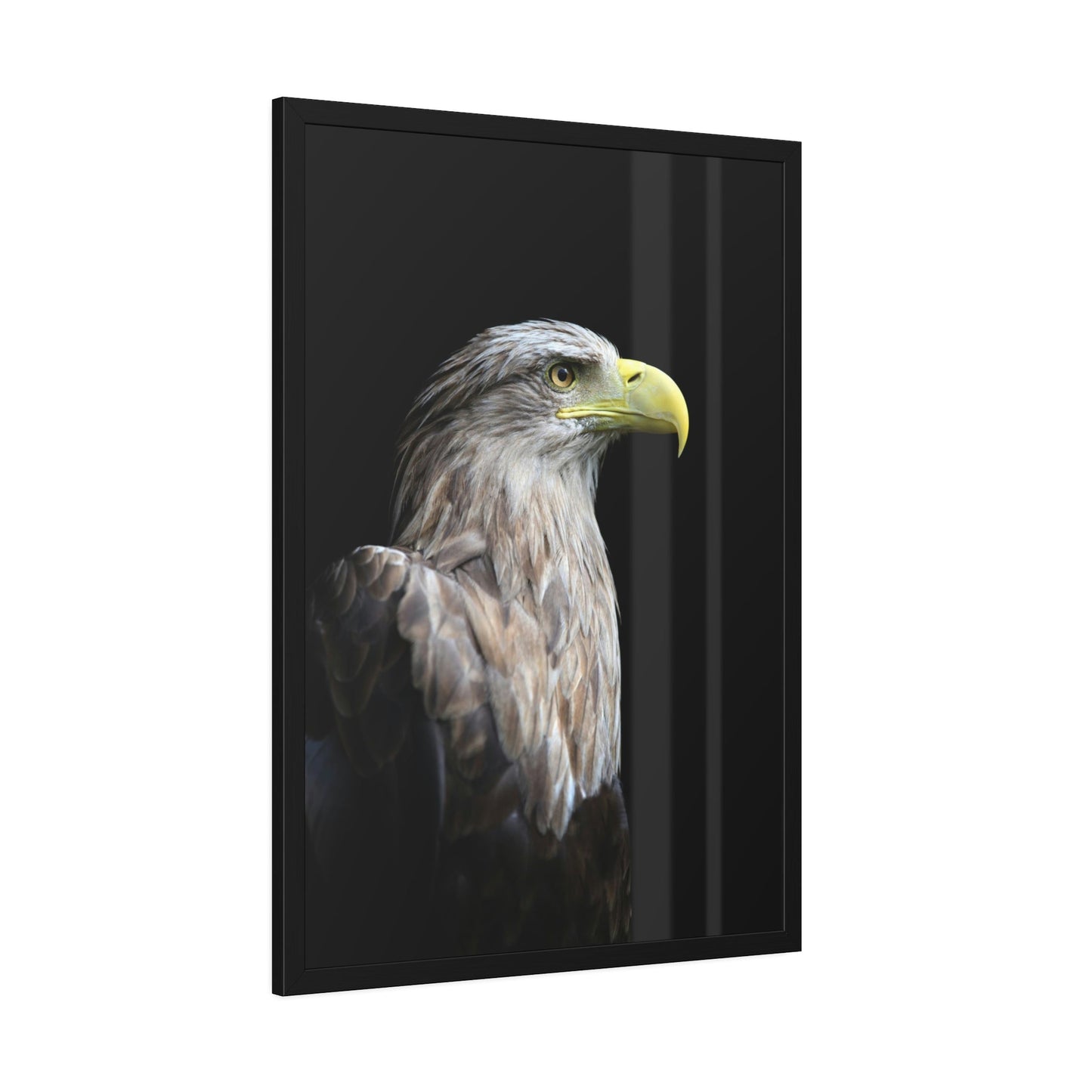 Eagle's Resilience: Inspiring Canvas Print, Showcasing their Indomitable Spirit