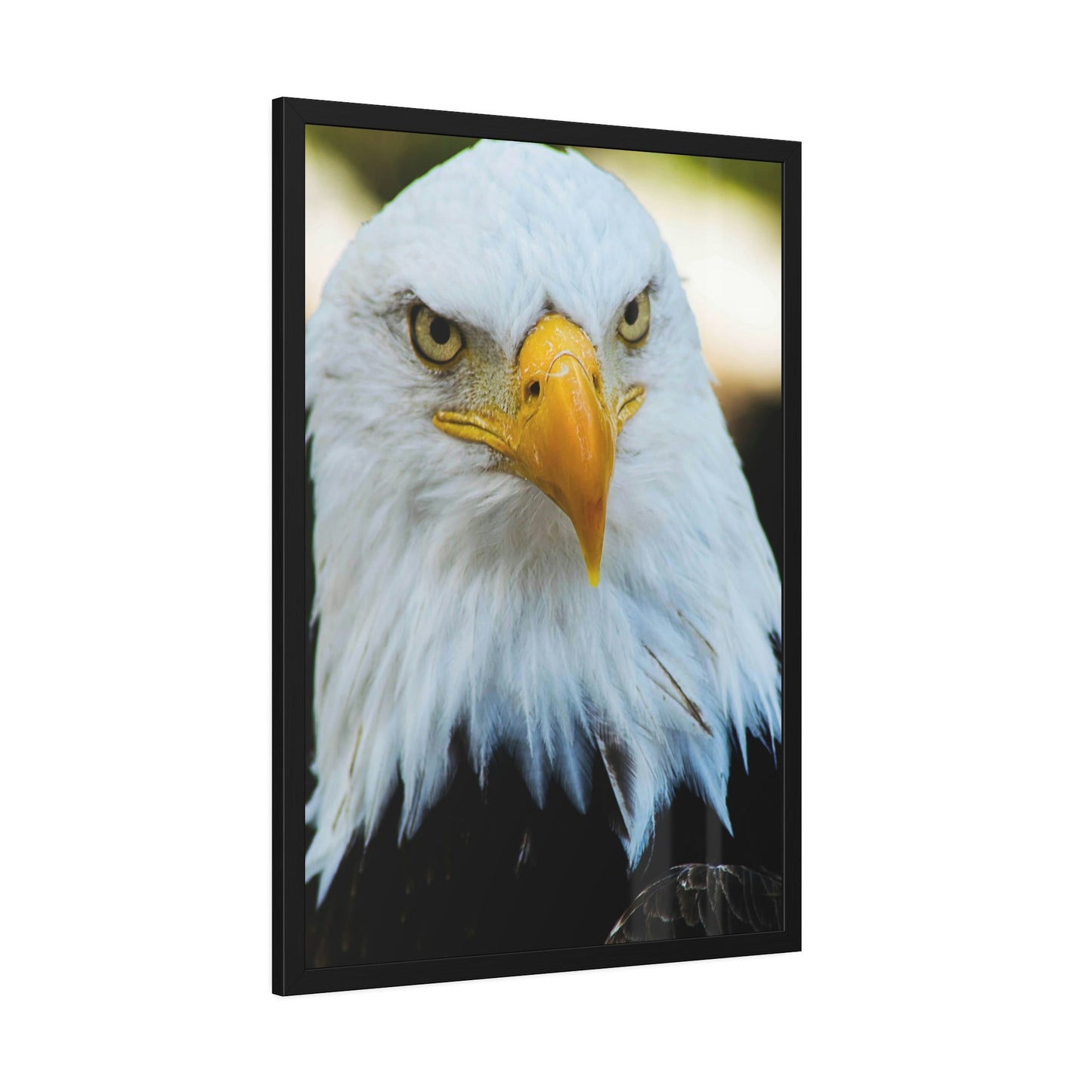 Eagle's Vigil: Canvas & Poster Enchanting with the Gaze of Majestic Birds