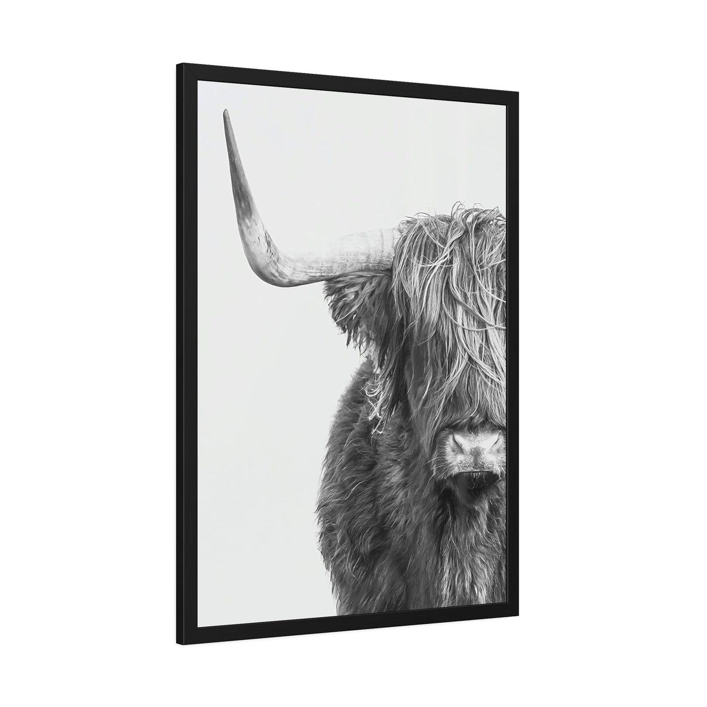 Highland Cow | Black & White Art | Animal Art — Pixoram