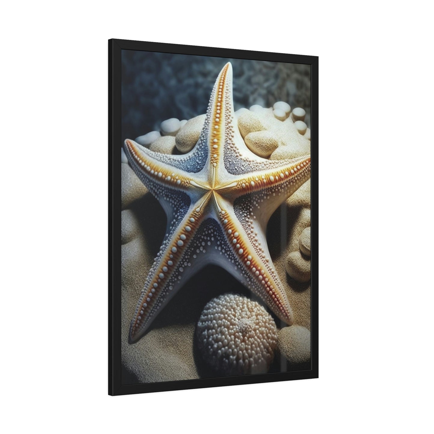Starfish Dreams: A Voyage to the Depths of Imagination