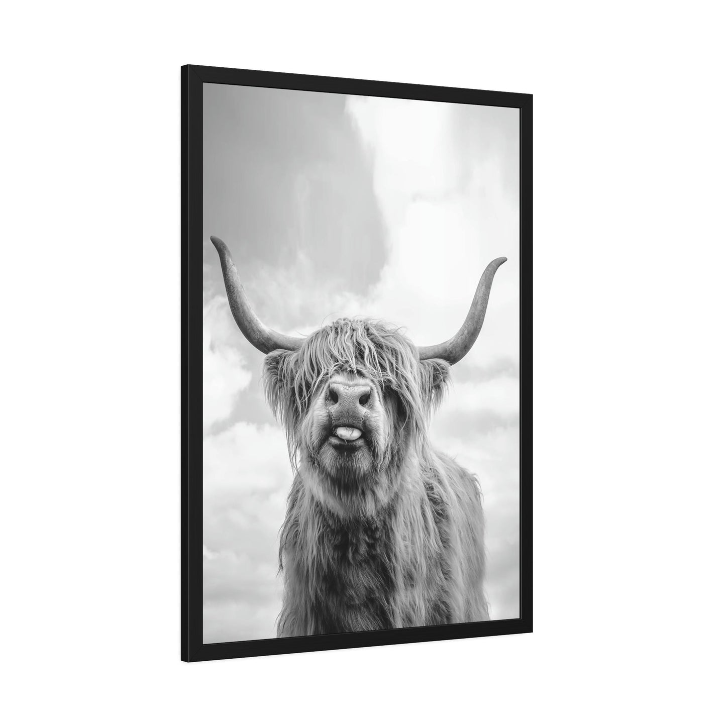 Highland Cow | Wooly Cattle | Black-White Art — Pixoram