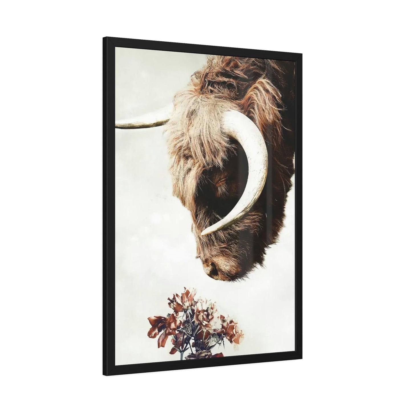 Highland Cow | Horned Cow Smelling a Flower | Animal Wall Art — Pixoram