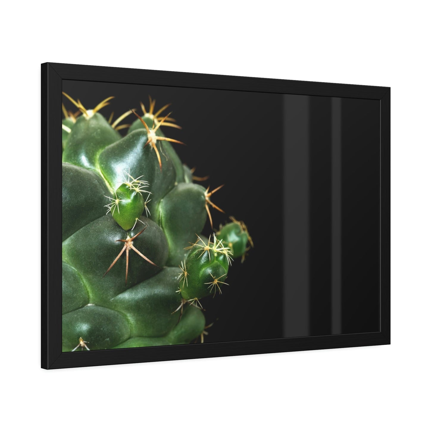 Succulent Splendor: Natural Canvas Cactus Print for a Modern Look