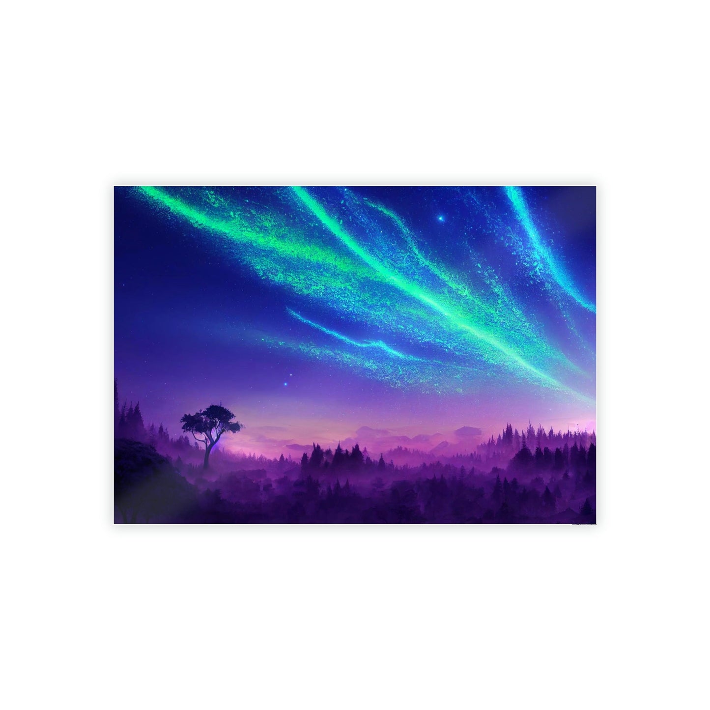 Aurora Borealis Nights: An Enchanting Display of Nature's Wonders